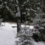 Der Harz im Winter